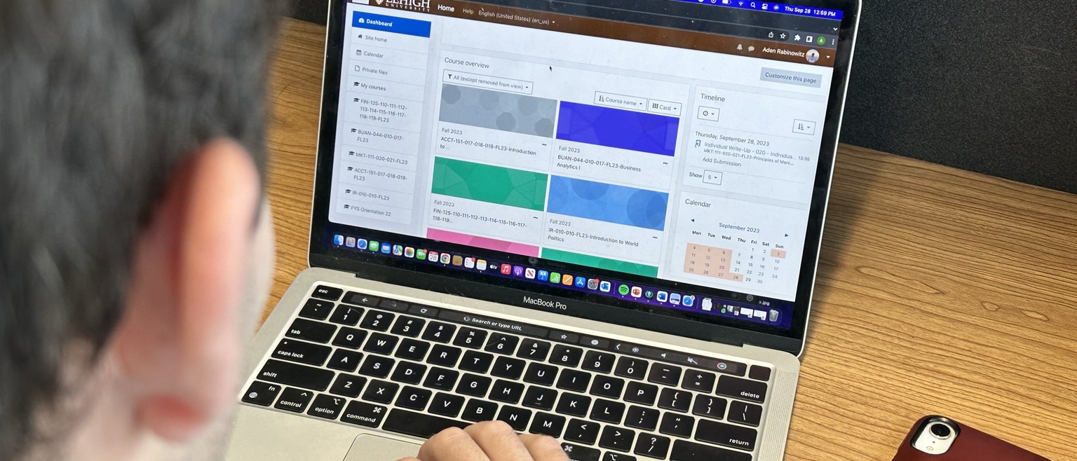 Student looking at Course Site on a laptop